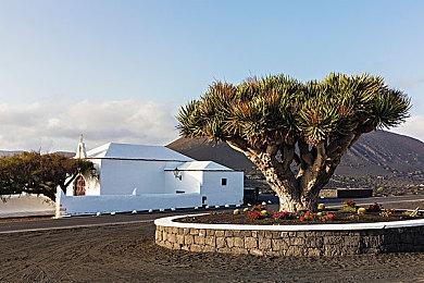 暗黑哥德风乙女游戏《白与黑的爱丽丝》NS繁中版将于2023年秋季发售